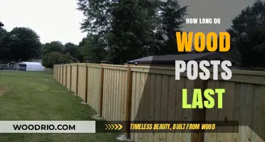 Durability of Wood Posts: Lifespan and Maintenance Tips Revealed