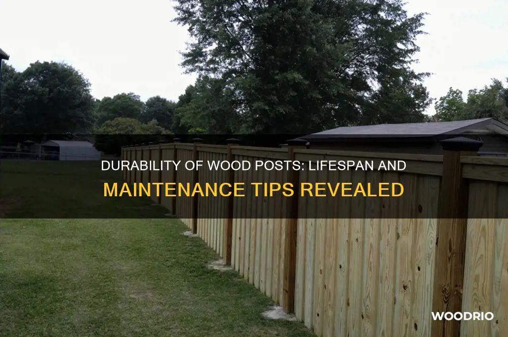 how long do wood posts last