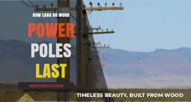 Wood Power Poles Lifespan: Durability, Maintenance, and Replacement Factors