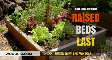 Durability of Wood Raised Beds: Lifespan and Maintenance Tips