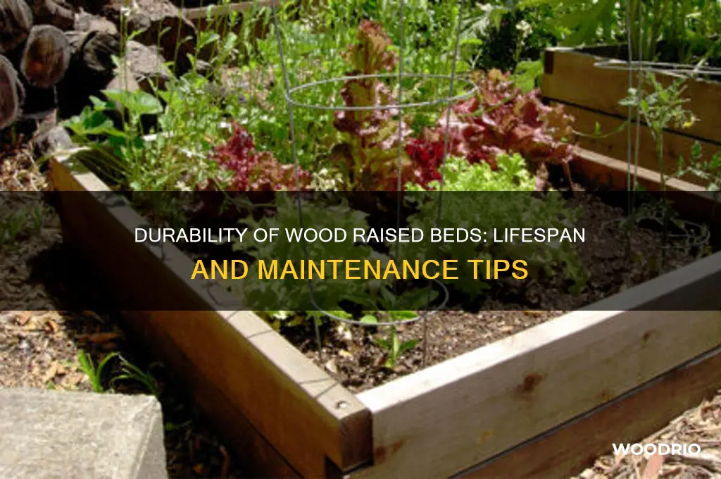 how long do wood raised beds last