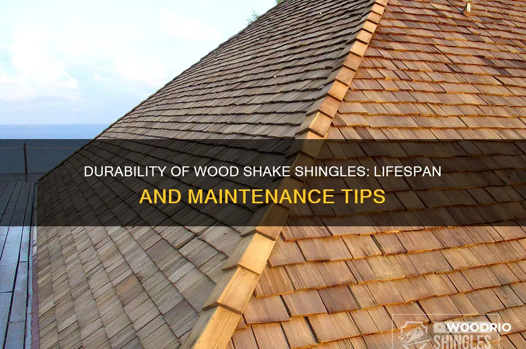 how long do wood shake shingles last
