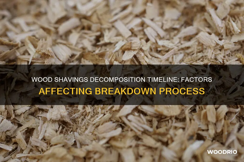 how long do wood shavings take to decompose