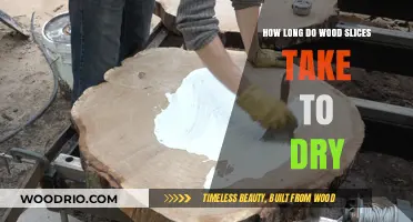 Drying Wood Slices: Timeframe, Techniques, and Tips for Perfect Results
