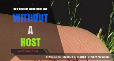 Wood Ticks' Survival Duration Without a Host: A Comprehensive Guide