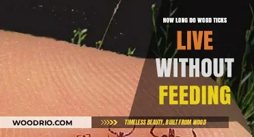 Wood Ticks' Survival Duration Without Feeding: A Comprehensive Guide