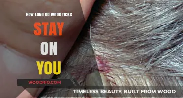 How Long Do Wood Ticks Stay Attached to Humans?