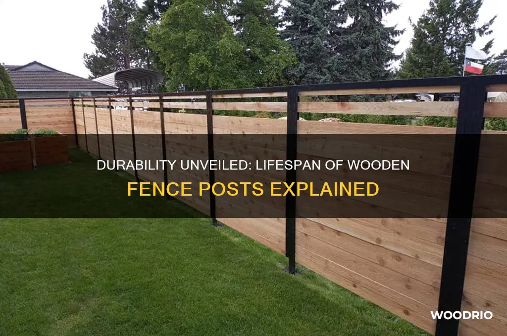 how long do wooden fence post last