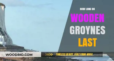 Durability of Wooden Groynes: Lifespan and Coastal Protection Insights