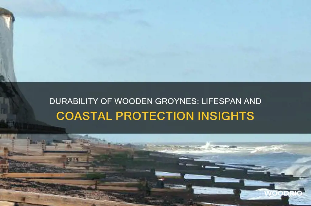 how long do wooden groynes last