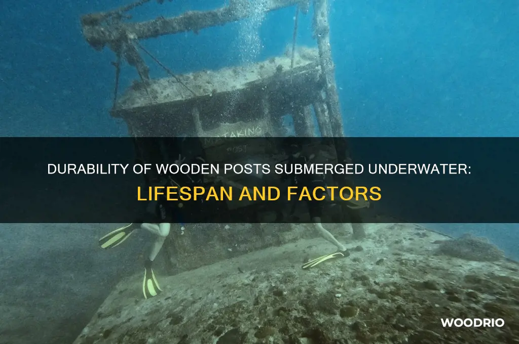 how long do wooden posts last under water