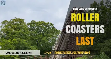 Wooden Roller Coasters: Lifespan, Maintenance, and Longevity Explained