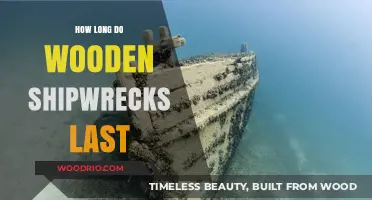 Wooden Shipwrecks' Lifespan: Factors Affecting Their Underwater Preservation