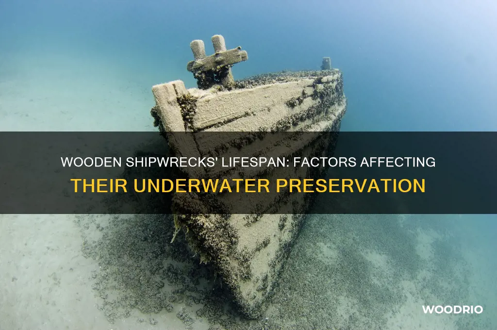 how long do wooden shipwrecks last