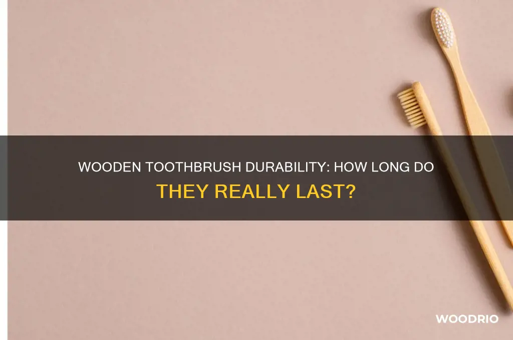 how long do wooden toothbrushes last