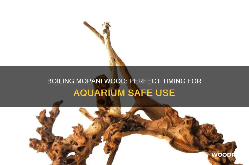 how long do you boil mopani wood