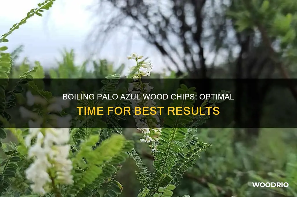 how long do you boil palo azul wood chips