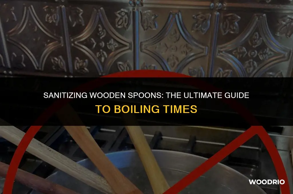 how long do you boil wooden spoons to clean them