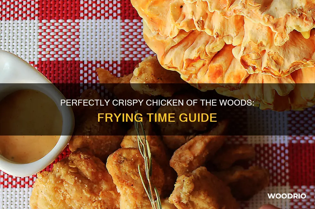 how long do you fry chicken of the woods