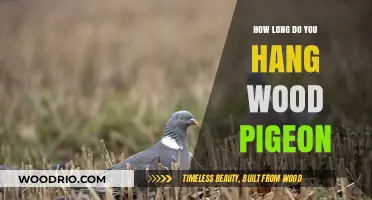 Perfect Wood Pigeon Hanging Time: Tips for Tender, Flavorful Game Meat
