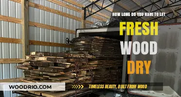 Drying Fresh Wood: Essential Tips for Optimal Curing Time
