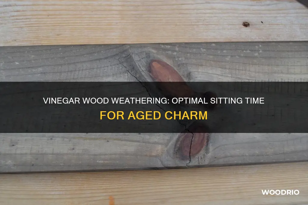 how long do you let vinegar sit when weathering wood