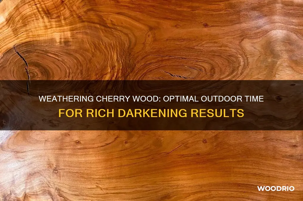 how long do you put cherry wood outside to darken