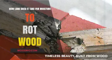 Moisture and Wood Rot: Understanding the Timeline for Decay