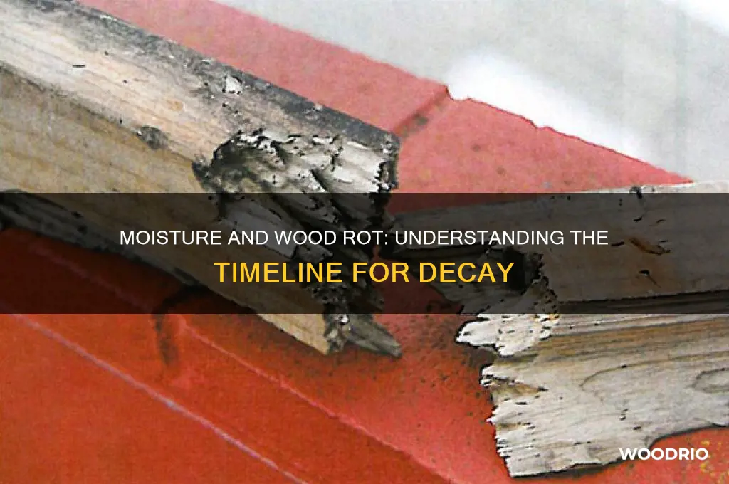 how long doea it take for moisture to rot wood
