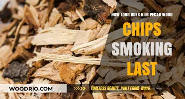 Pecan Wood Chips Smoking Duration: How Long Does 5 Lbs Last?