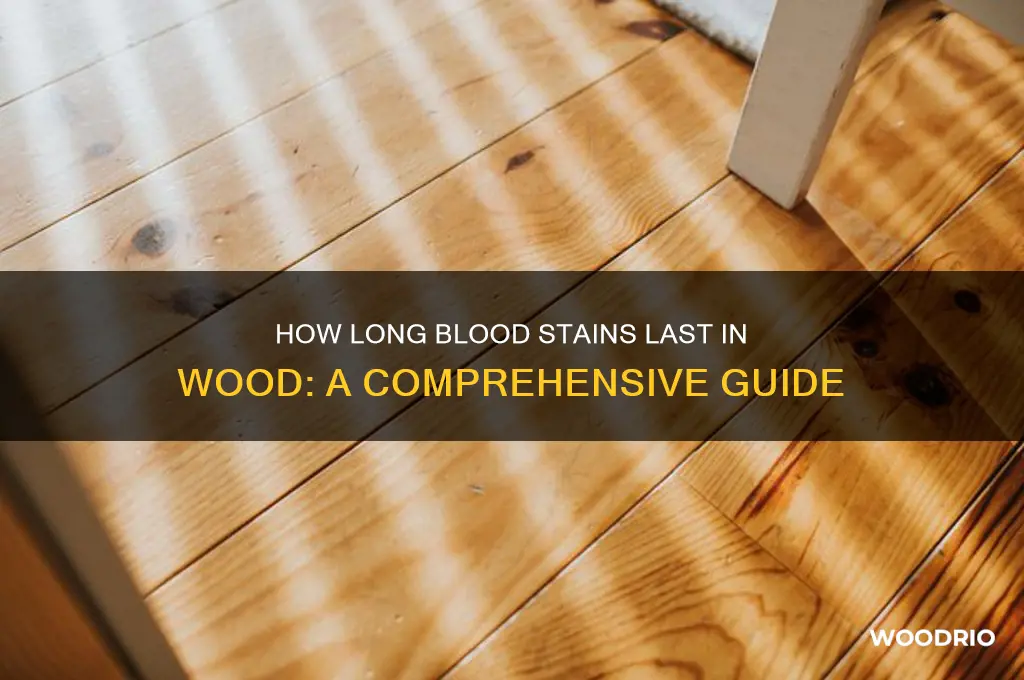 how long does a blood stsin last in wood