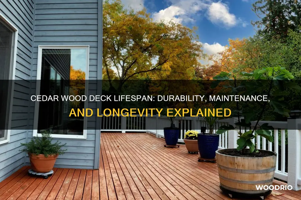 how long does a cedar wood deck last