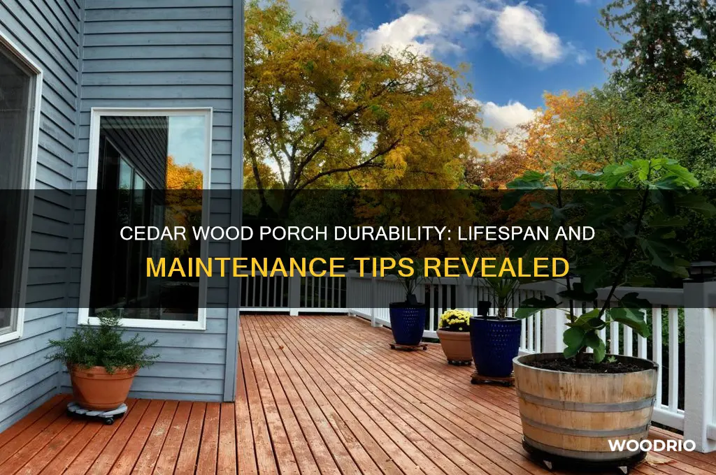 how long does a cedar wood porch last