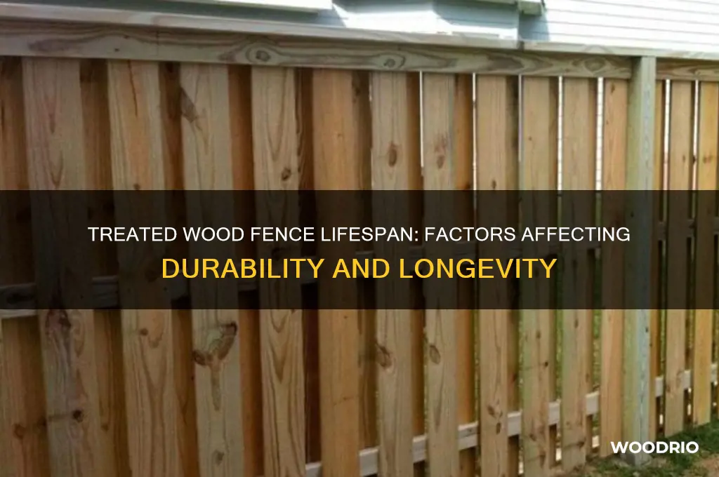 how long does a treated wood fence last