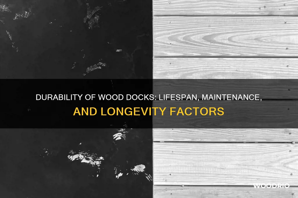 how long does a wood dock last