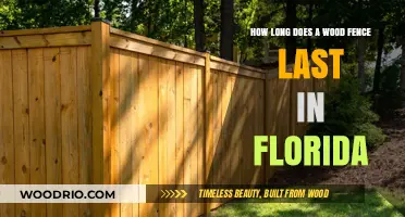 Durability of Wood Fences in Florida's Climate: Lifespan Explained