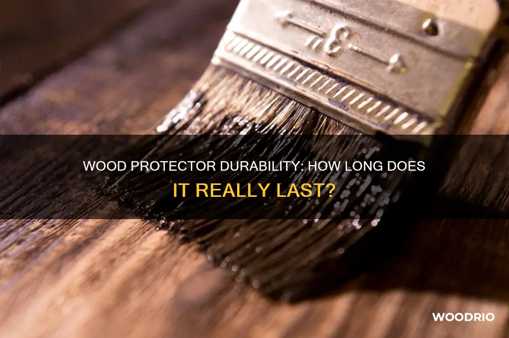 how long does a wood protector last
