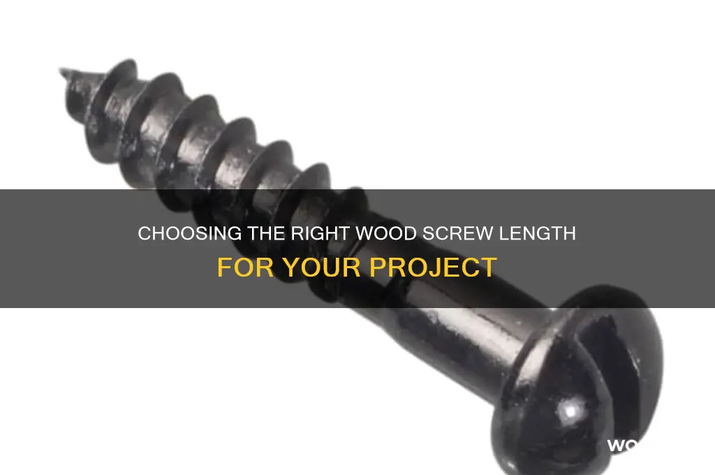 how long does a wood screw need to be