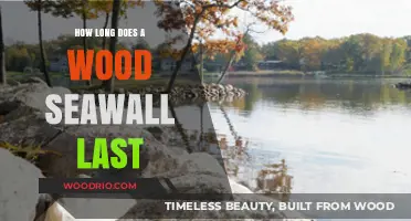 Durability of Wood Seawalls: Lifespan and Maintenance Tips