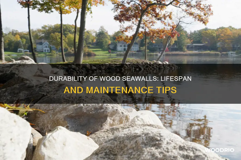 how long does a wood seawall last