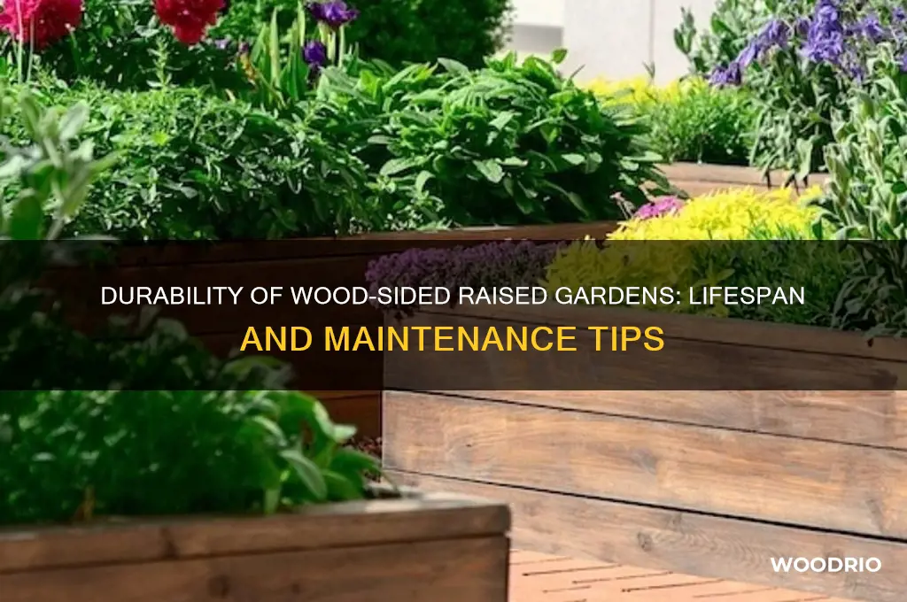 how long does a wood sided raised garden last
