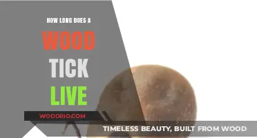 Understanding the Lifespan of Wood Ticks: How Long Do They Live?