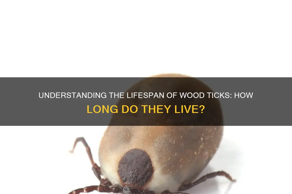 how long does a wood tick live
