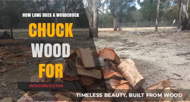 How Long Does a Woodchuck Chuck Wood? Unraveling the Myth