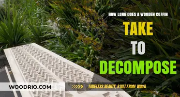 Wooden Coffin Decomposition: Understanding the Natural Breakdown Process