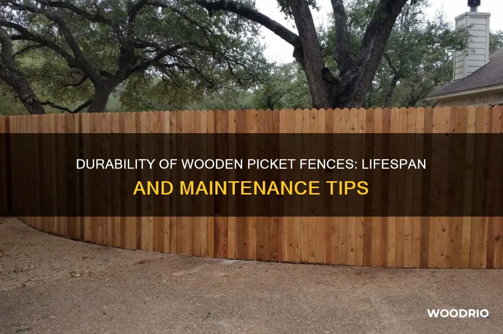 how long does a wooden picket fence last