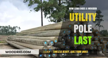 Wooden Utility Poles Lifespan: Factors Affecting Durability and Longevity