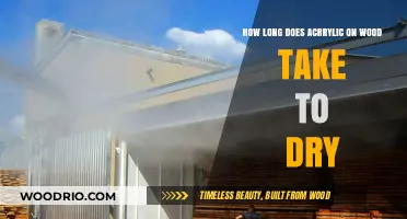 Acrylic on Wood Drying Time: Factors Affecting Cure Speed and Tips