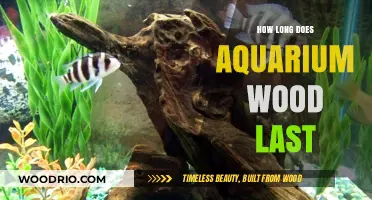 Aquarium Wood Lifespan: Factors Affecting Durability and Longevity in Tanks