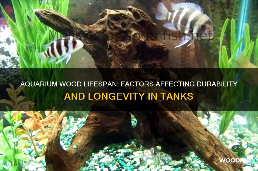 how long does aquarium wood last